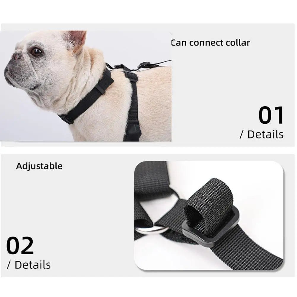 Dog Suspender Boots - Peppeuk Ltd