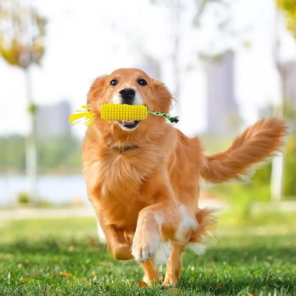 Squeaky Dog Chew and Toy