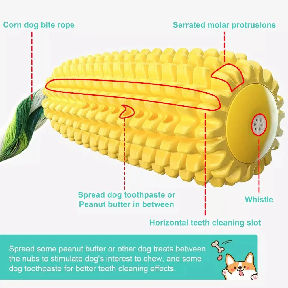 Squeaky Dog Chew and Toy