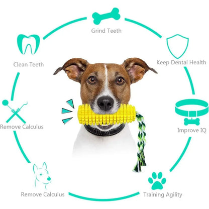 Squeaky Dog Chew and Toy