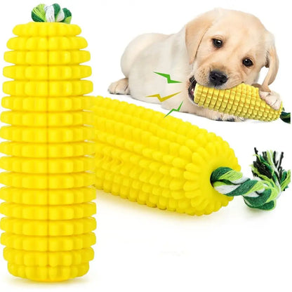 Squeaky Dog Chew and Toy