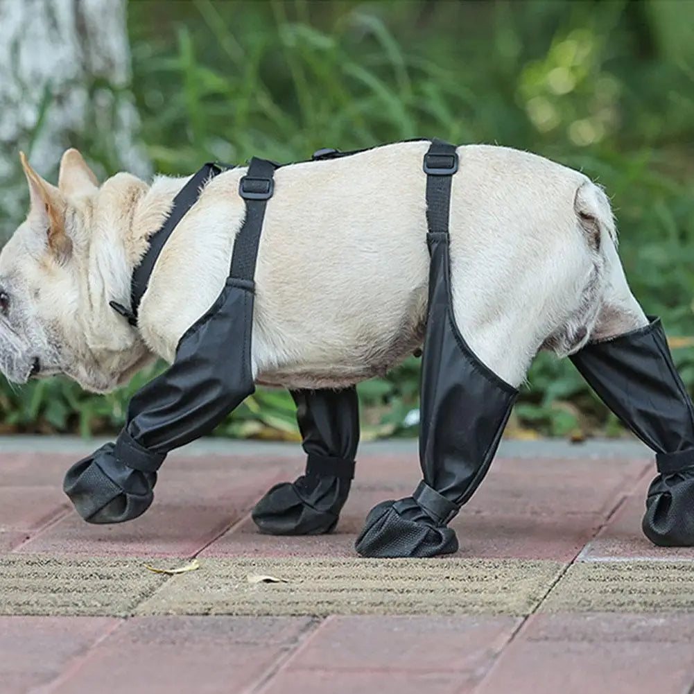 Dog Suspender Boots - Peppeuk Ltd