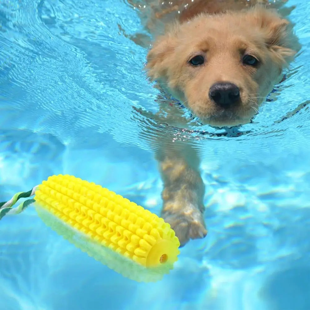 Squeaky Dog Chew and Toy